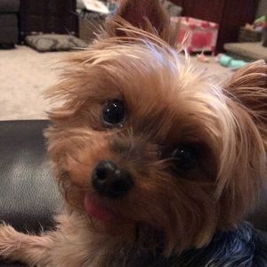 Meet your Posher, James